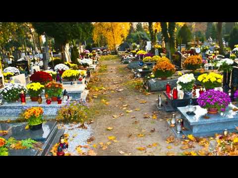 Stanisław Czeremuga  - POWSPOMINAJMY