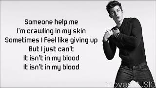 Shawn Mendes - In My Blood (Lyrics)