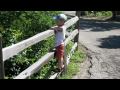 Detroit Zoo Part 1