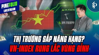 Vn-Index kiểm nghiệm lại mốc 1.700 trước tin nâng hạng thị trường của FTSE | Livestream Pinefolio