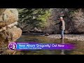 Skip Ewing: The Meaning Behind "Dragonfly"