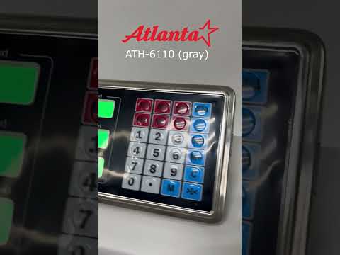 Миниатюра изображения товара Весы платформенные Atlanta ATH-6110 (серый)