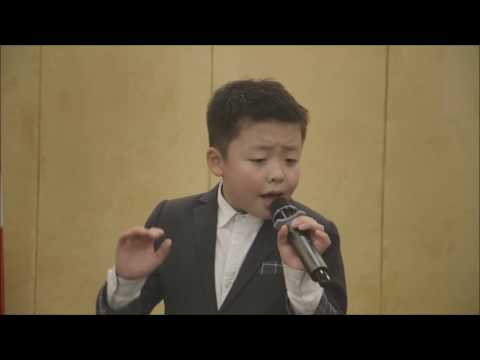 Jeffrey Li - Can You Feel the Love Tonight by Elton John - MP Shaun Chen: A Decade of Service 2016