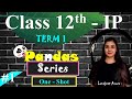 TERM 1 - Class 12 IP | Complete Syllabus | Pandas Series - ONE SHOT | Best Lecture Series | PART 1 |