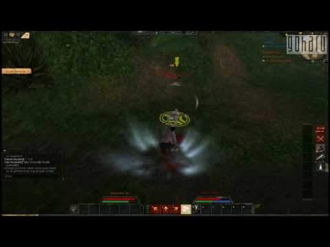 Age of Conan Livegameplay 2.avi