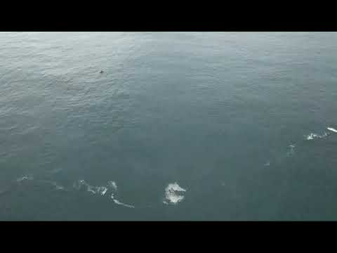 Corpo de vítima de afogamento na Praia dos Ingleses é encontrado em Florianópolis 