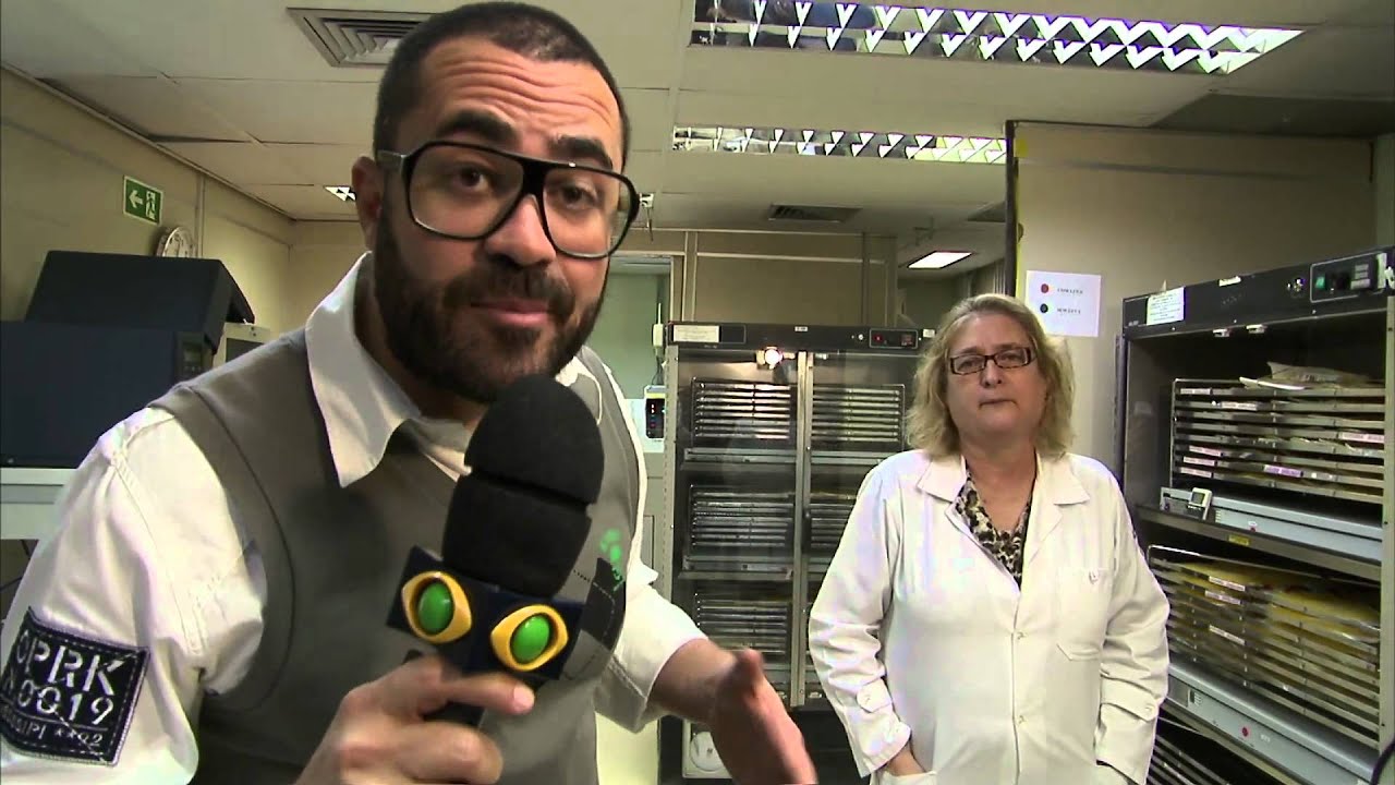 O ciclo do SANGUE, saiba o que é feito com o sangue após a doação.