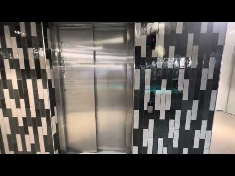 3x 2018 Schindler 6500 & 5500 Linea 100 MRL tr. elev. @ Noli Studios Katajanokka, Helsinki, FI