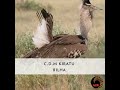 Love Is Unfair By CDM KIRATU