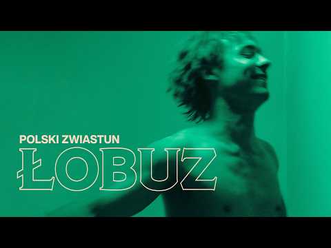 Trailer filmu Łobuz