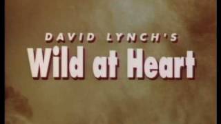 Wild at Heart