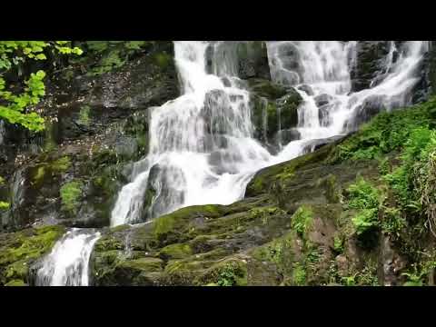 FLAUTA CURATIVA Zen China , Elimina Estrés, Ansiedad y Calma la Mente