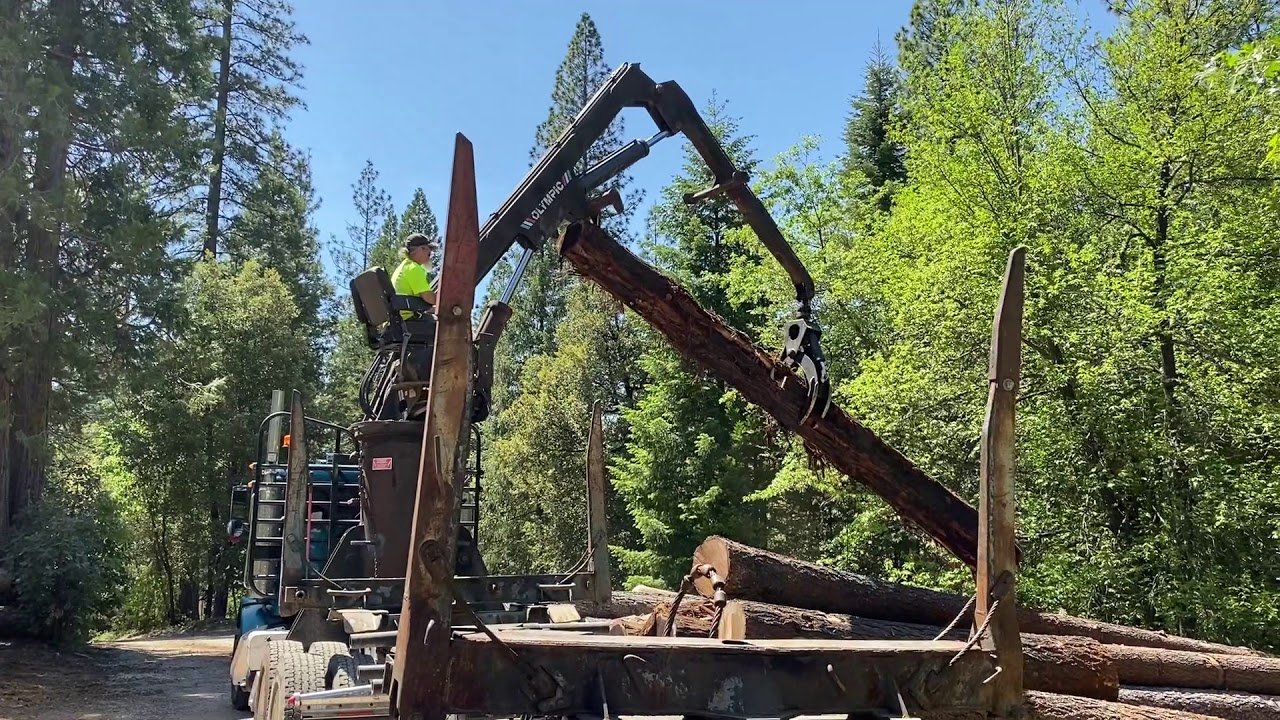 Ridge Logging | Logging Services | Nevada County, CA