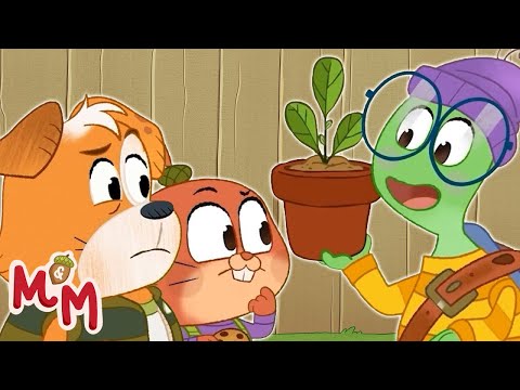 Thelma Needs a Favor From Max & Maple! 🐢