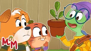 Thelma Needs a Favor From Max & Maple! 🐢