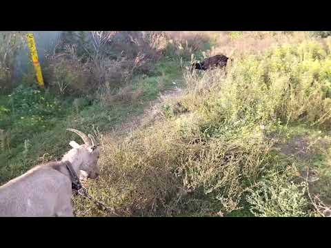 Спасибо вам мои зрители и подписчики