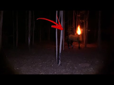 A LENDA DA MULA SEM CABEÇA, A TERRÍVEL APARIÇÃO DO FANTASMA * Folclore Brasileiro *