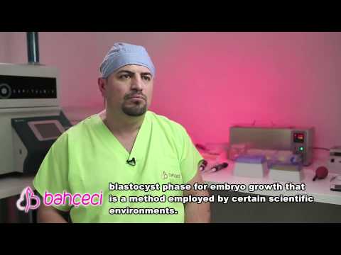 What does endometrial co-culture represents? Which are the compatible patients?