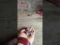 Chuha Ne Bacche Ko Kaise Uthate Viral Vedio