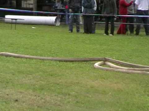 Pohár OSH Semily 2010 - Bystrá - SDH Veselá B