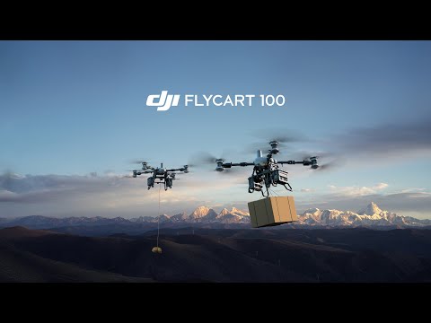 DJI and DJI Delivery