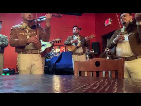 Promotional video thumbnail 12 for Mariachi Arraigo de America