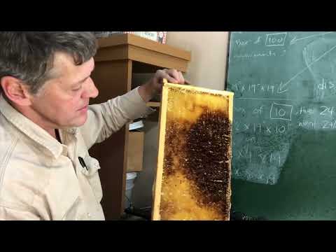 What do I do with Sticky Extracted Frames