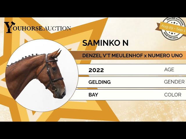 Saminko