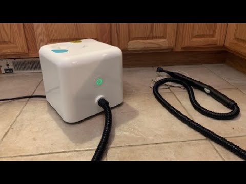 Dupray Neat Steam Cleaner Powerful Multipurpose Portable Steamer for Floors, Cars Review