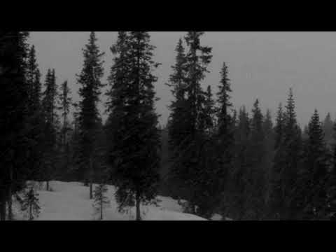 real/sajko x whitewell - grudzień (zimno)