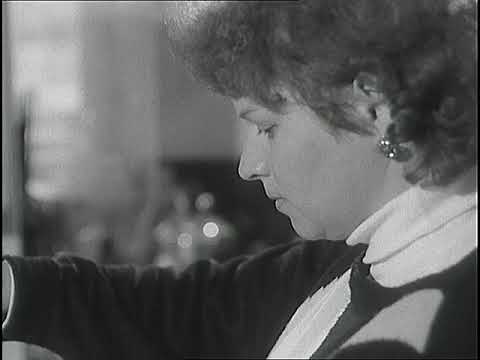 Československý filmový týdeník 25/1988 Zmatky ve značení obce Brumov-Bylnice…