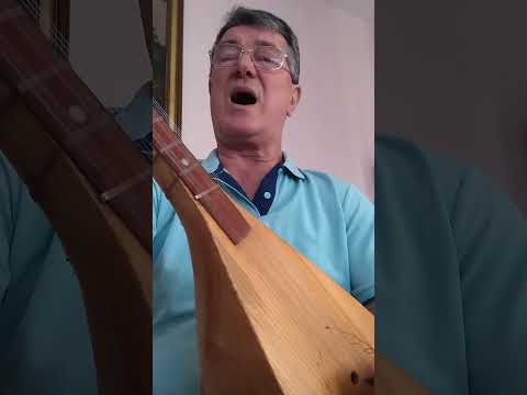 RAJKO SIMEUNOVIC. Kulu gradim vihor je obara