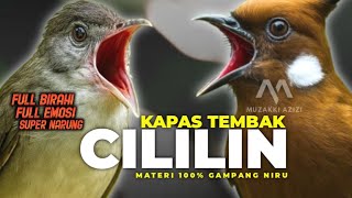Download lagu MASTERAN KAPAS TEMBAK SAMBUNG CILILIN || KAPAS TEMBAK VS CILILIN || KAPAS TEMBAK GACOR CILILIN GACOR mp3 Download lagu MASTERAN KAPAS TEMBAK SAMBUNG CILILIN || KAPAS TEMBAK VS CILILIN || KAPAS TEMBAK GACOR CILILIN GACOR mp3