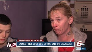 Owner Finds Her Lost Dog Up for Sale on Craigslist