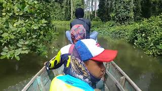 preview picture of video 'Pasaman barat hutan mangrove'