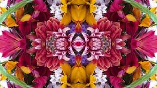 Stagger Lee (by Dave Van Ronk live at Indiana University '64)