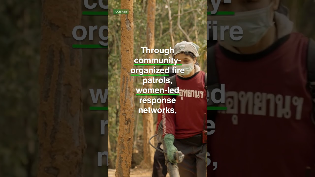 Model Forests and Wildfire & Disaster Risk Reduction