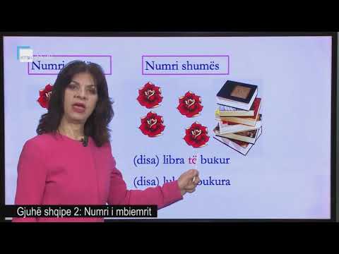 Gjuhë shqipe 2 - Numri i mbiemrit (1)