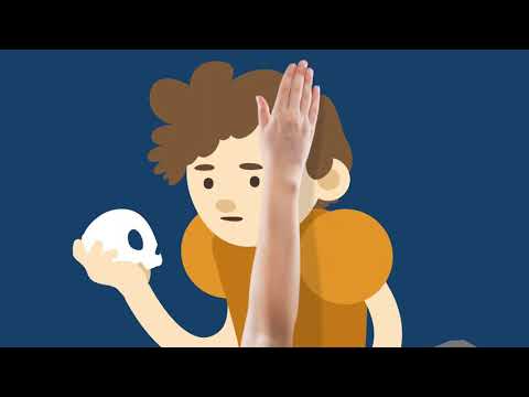 to be – „sein“ als Vollverb einfach erklärt | sofatutor