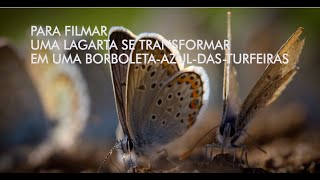 Miniatura do vídeo