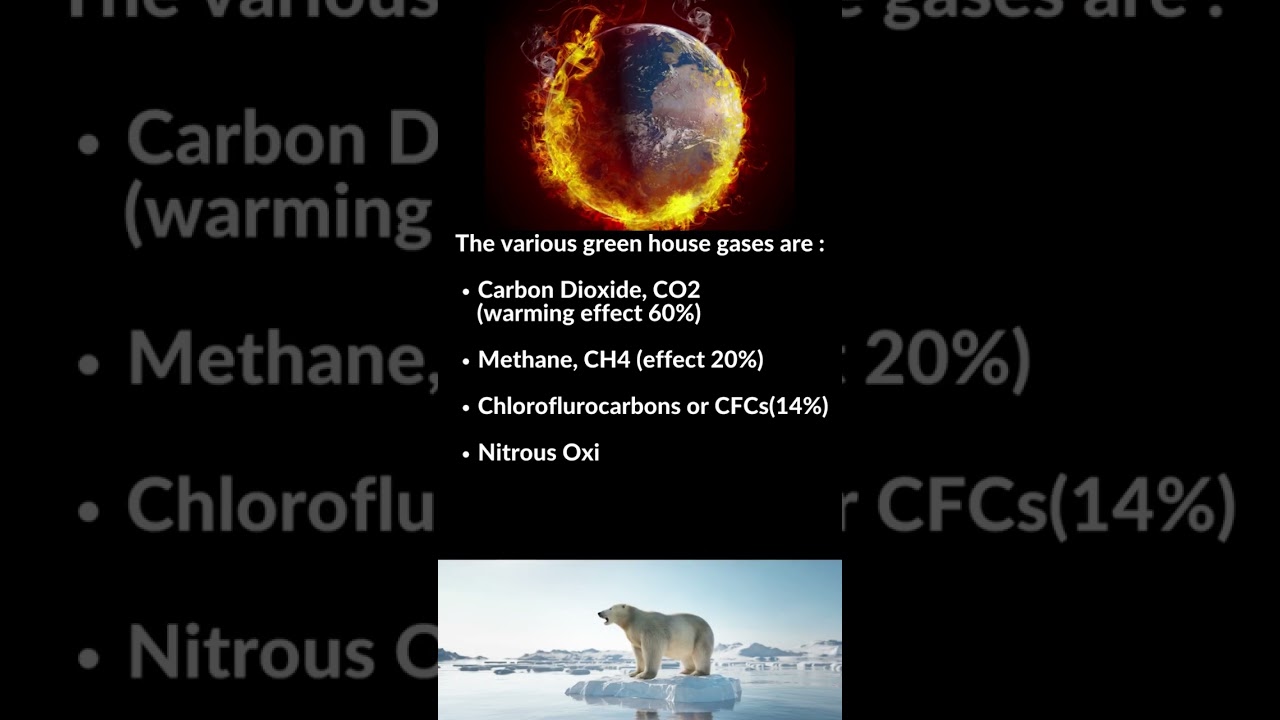 What are Greenhouse gases || Environmental Science #ghg #biologyexams4u
