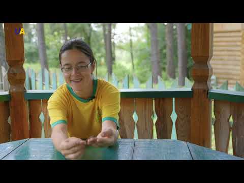 Valley of the River Desna | Unexplored Ukraine