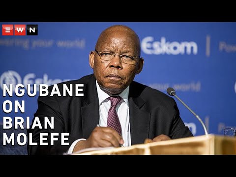 Ben Ngubane: There are very few black people with Brian Molefe's capabilities