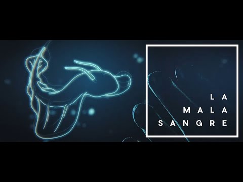 La Malasangre - Contracorriente ft. Lula Bertoldi [Video Oficial]