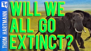 Can We Stop The Next Extinction? (w/ Nele Marien)