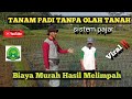 New Innovation ️planting Rice Without Tilling The Soil Yields No Less Low Cost