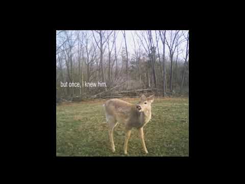 𝚊𝚖 𝚒 𝚝𝚑𝚎 𝚆𝚘𝚕𝚏, 𝚘𝚛 𝚝𝚑𝚎 𝙻𝚊𝚖𝚋? // 𝚊 𝚙𝚕𝚊𝚢𝚕𝚒𝚜𝚝