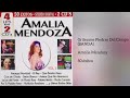 Grítenme Piedras Del Campo (BANDA) • Amalia Mendoza