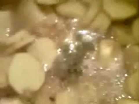 Pommes de Terre fondantes