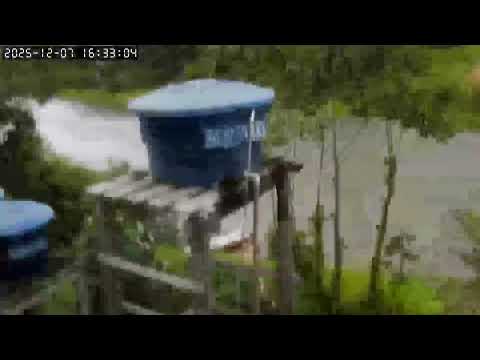 Vento fortes e caapiranga-Amazonas no fim de tarde. E depois chuva. 